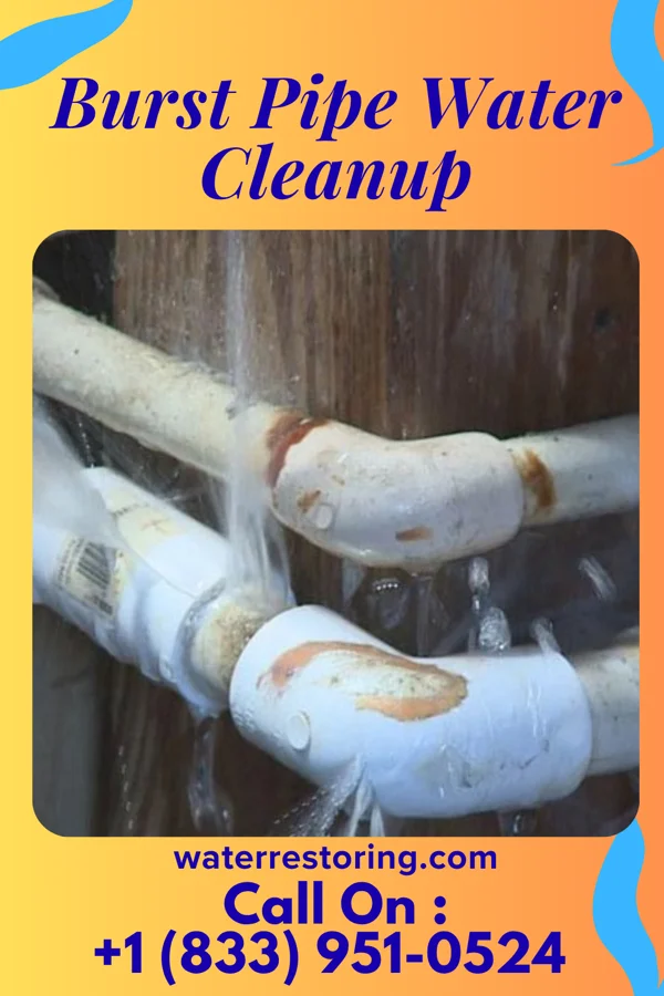 Burst Pipe Water Cleanup in Continental Courts, PA