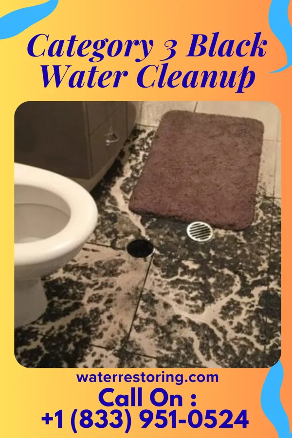 Category 3 Black Water Cleanup in Continental Courts, PA