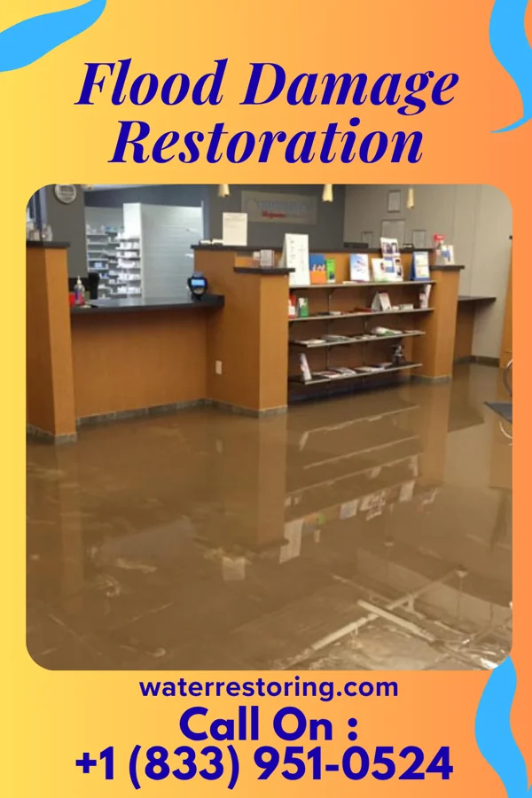 Flood Damage Restoration in Continental Courts, PA