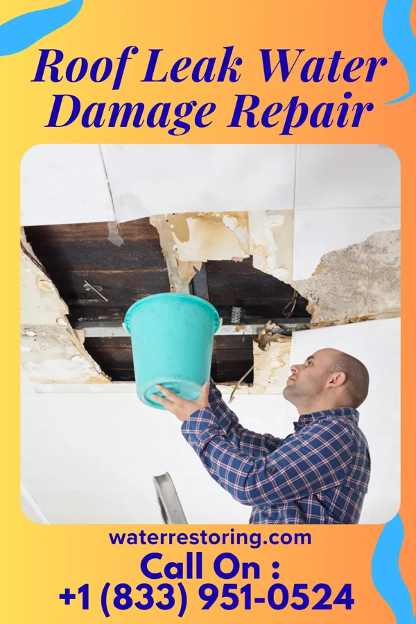Roof Leak Water Damage Repair in Continental Courts, PA
