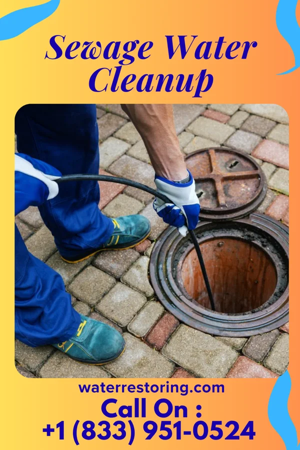 Sewage Water Cleanup in Continental Courts, PA