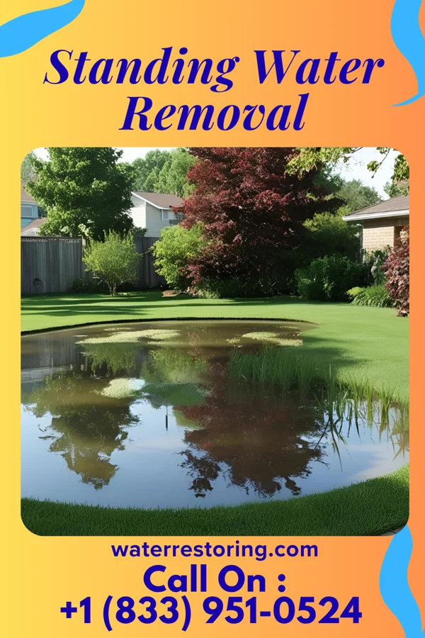 Standing Water Removal in Continental Courts, PA